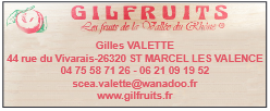 GILFRUITS