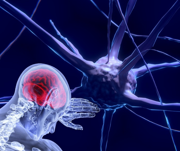 e6547-neurosciences