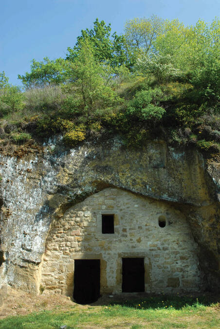 troglodytes